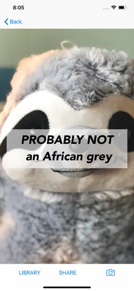 Game screenshot Probably Not hack