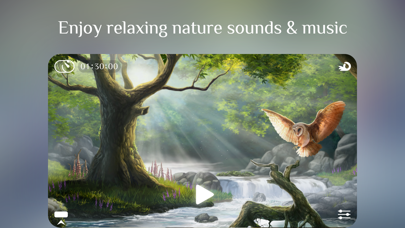 Screenshot #1 pour Flowing ~ Meditation in Nature