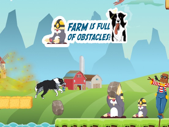 CollieRun - Dog agility game iPad screenshot