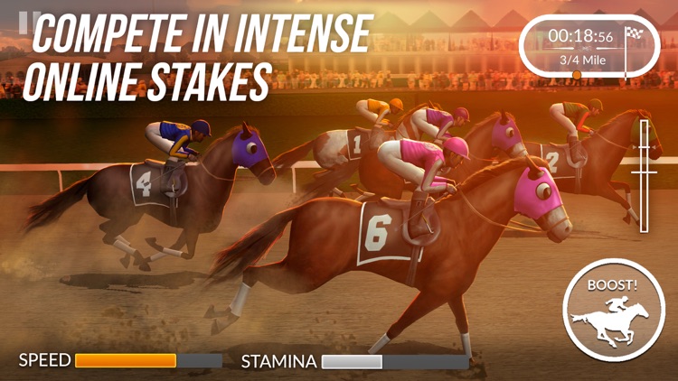 Photo Finish Horse Racing