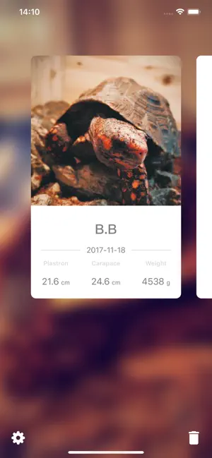 Captura 1 Tortoise - Keep Recording iphone