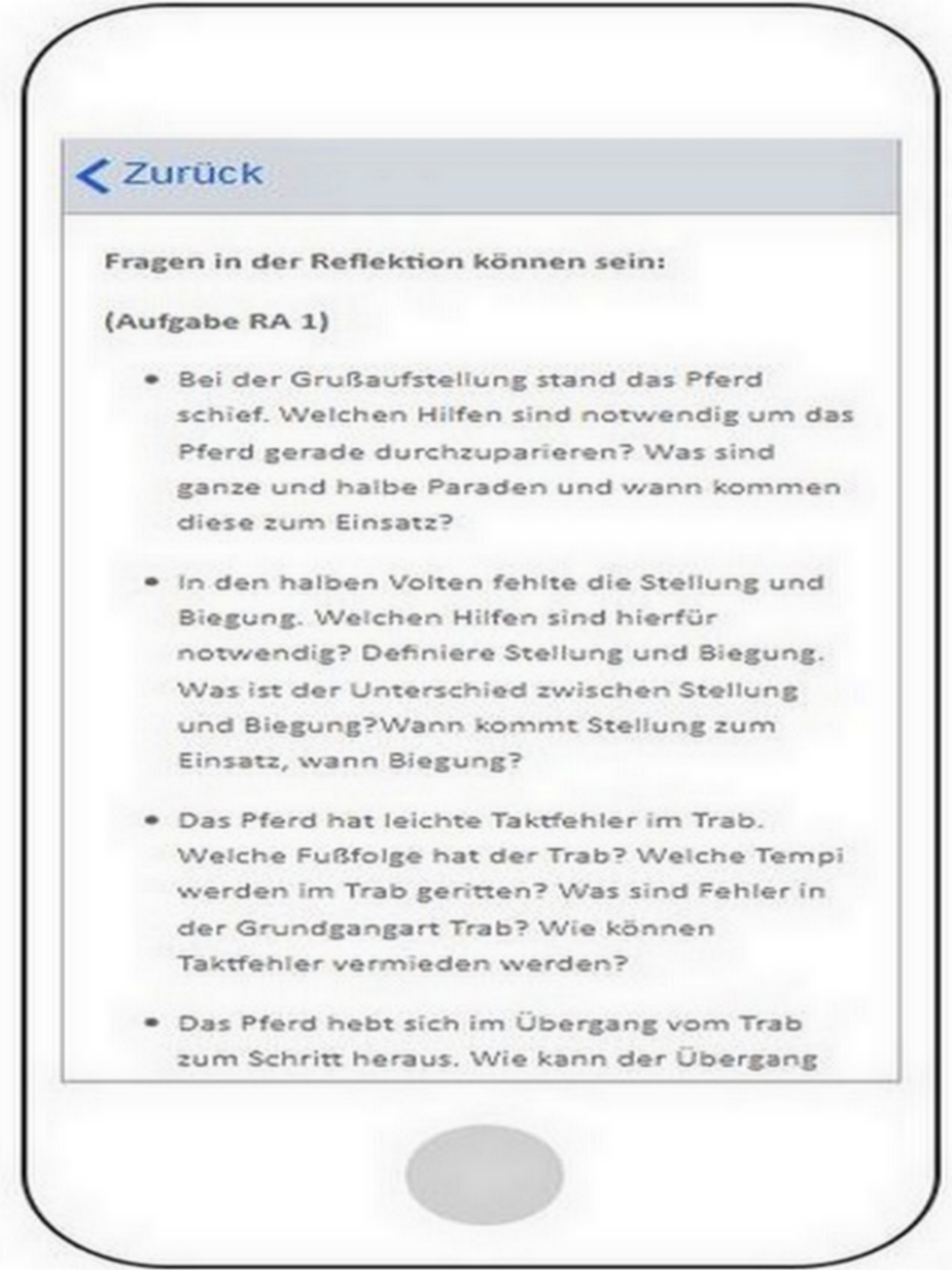 Reitabzeichen Pferdeführerchei