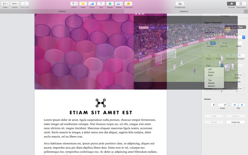 ShareDesktop screenshot