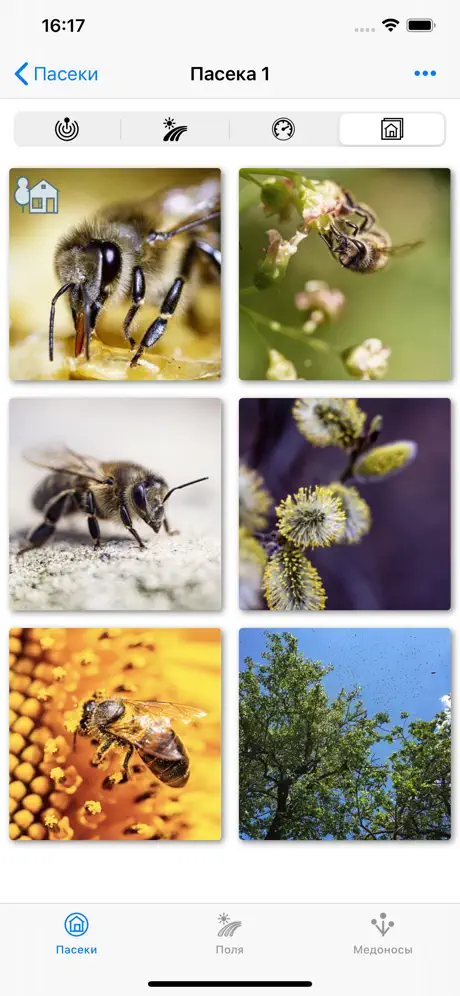 ApiFields