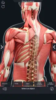 my muscle anatomy iphone resimleri 4
