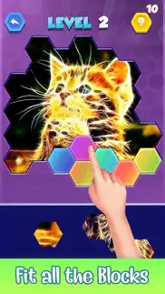jigsaw hexa puzzle art problems & solutions and troubleshooting guide - 2