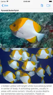 scuba fish hawaii iphone screenshot 3