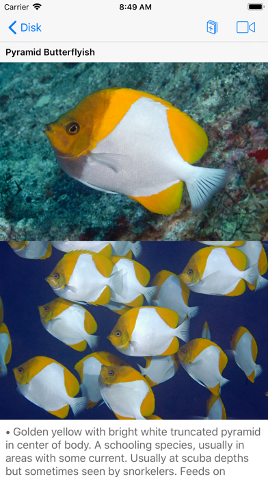 Screenshot #3 pour Scuba Fish Hawaii