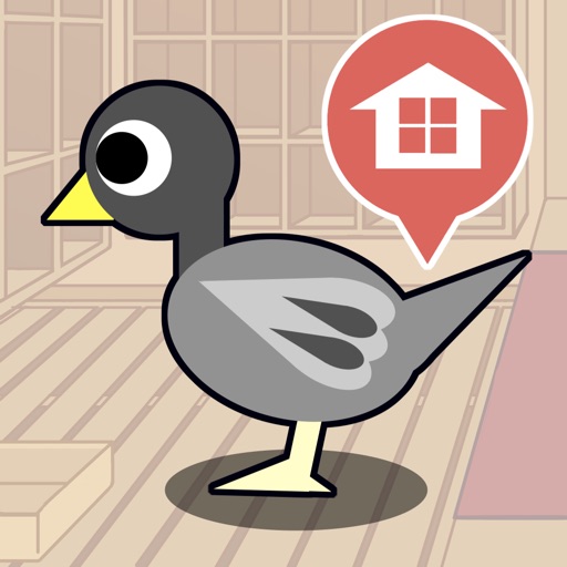 Race Pigeon icon