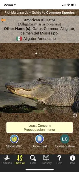 Game screenshot Florida Lizards apk