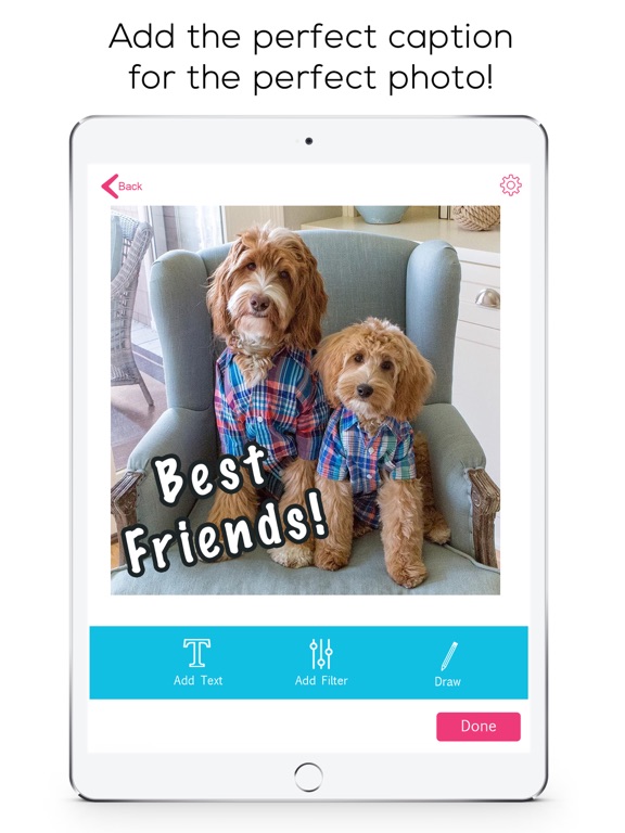 Screenshot #5 pour Slideshow Maker with Music Fun