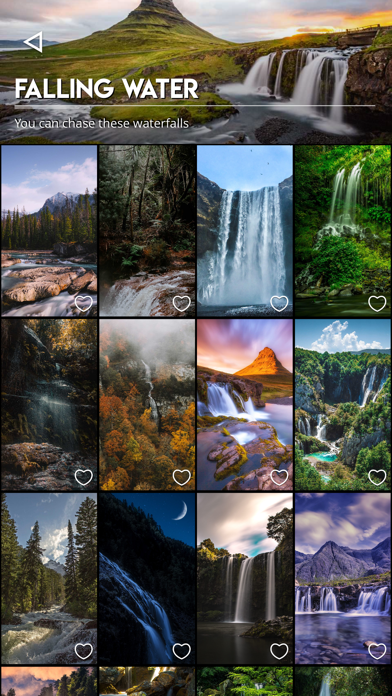 Kuvik Wallpapers iPhone screenshot 7 - Entertainment app