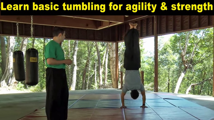 Kung Fu Body Workout screenshot-4