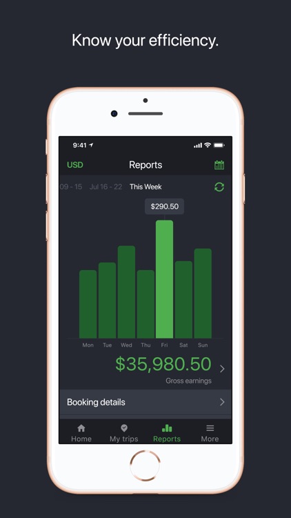 INTERNATIONAL DRIVER screenshot-4