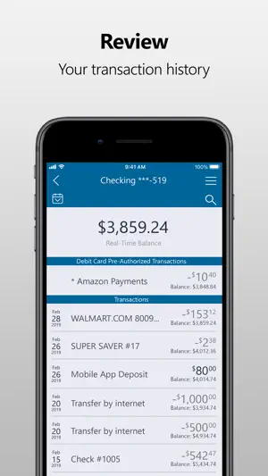 The Bank KS screenshot 3