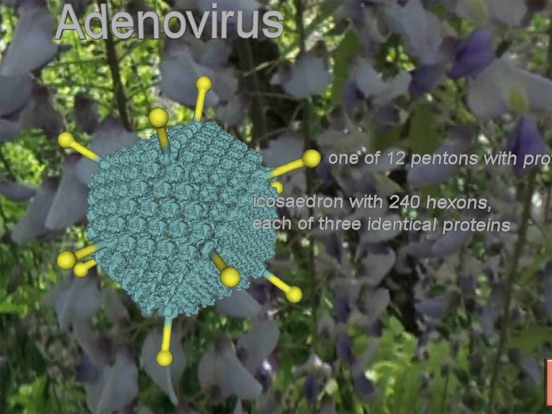 Bio Virus Structure in 3D iPad screenshot