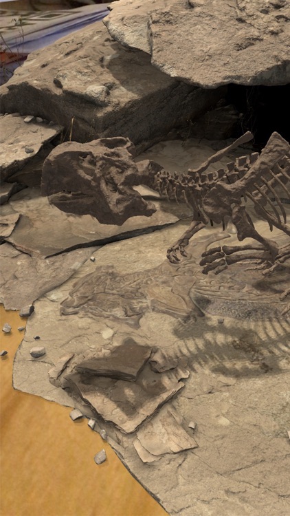 Famous Fossil screenshot-4