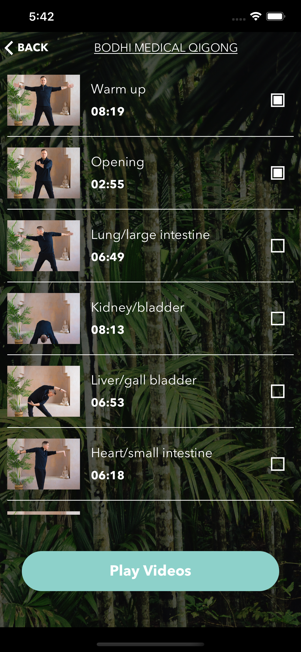 Bodhi Medical Qigong