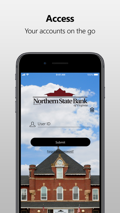 Northern State Bank - Virginia Screenshot