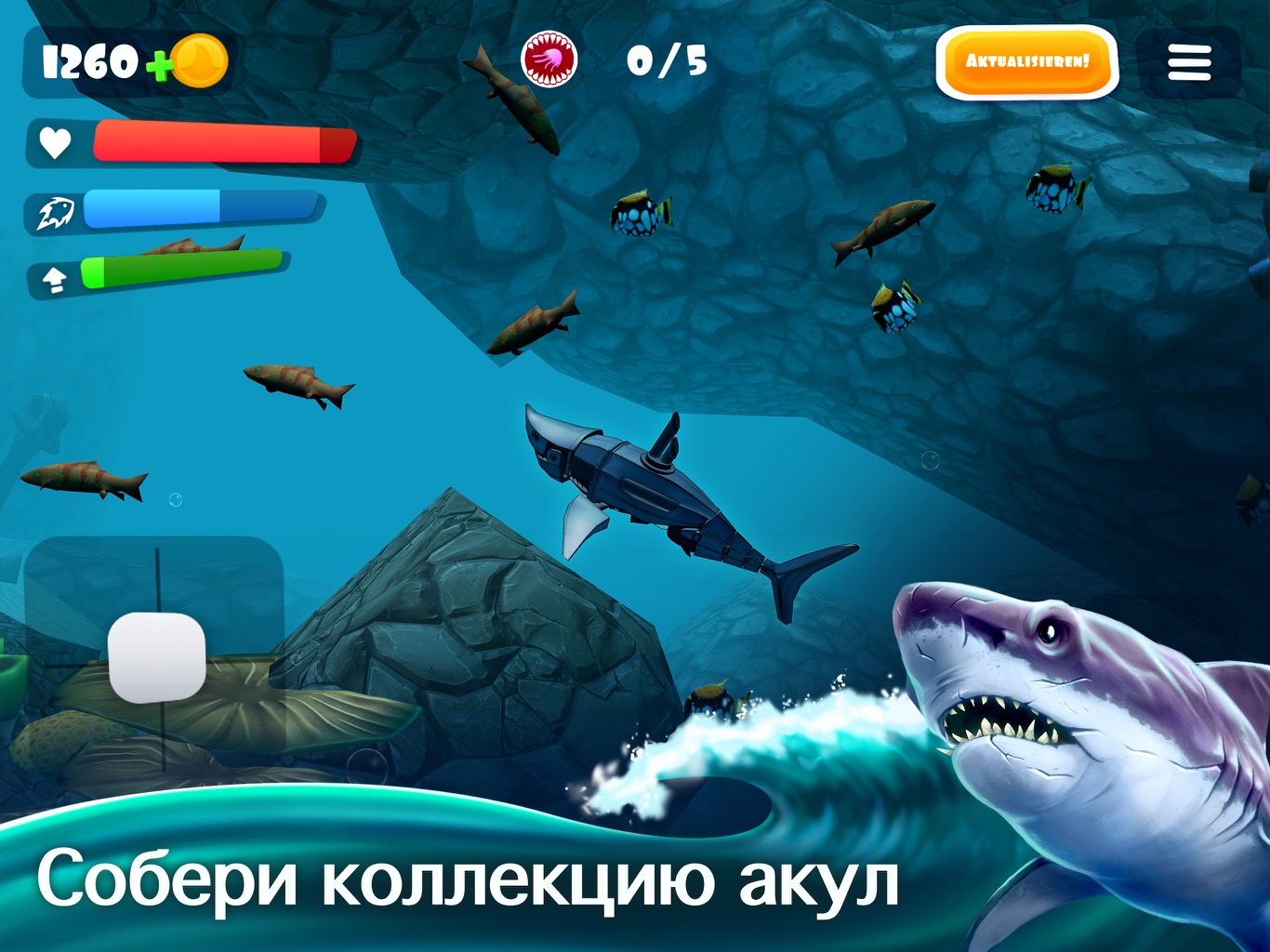 Чит на игру акула. Чит на игру акула