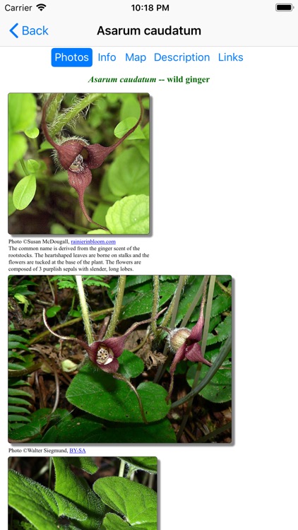 SF Bay Area Wildflowers screenshot-4