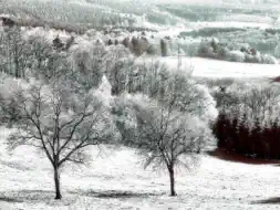 NIR Color screenshot 9