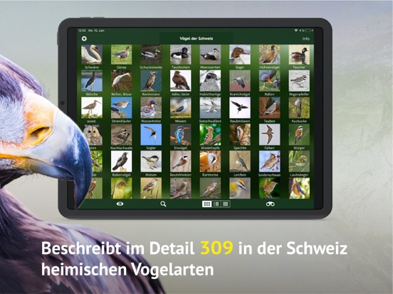 Screenshot #6 pour Vögel der Schweiz - Fotoguide