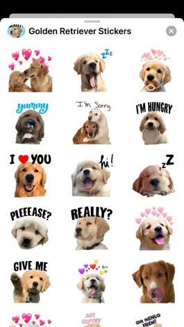 Game screenshot Golden Retriever Stickers mod apk