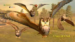 Game screenshot Clan Of Owl mod apk