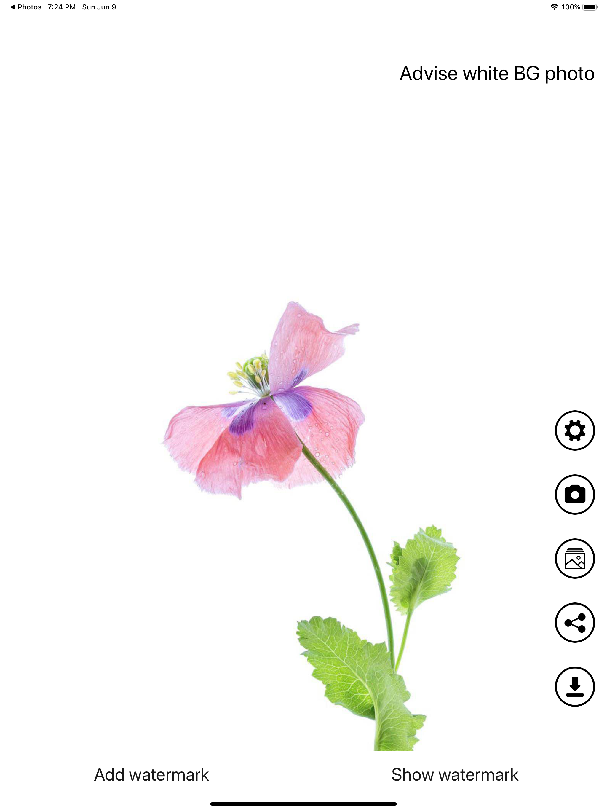 Invisible Watermark