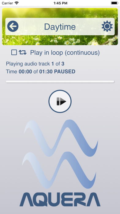 Screenshot #2 pour Aquera Player