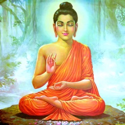 Buddha Teaching & Insight
