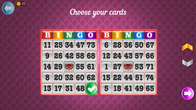 Bingo Set Screenshot