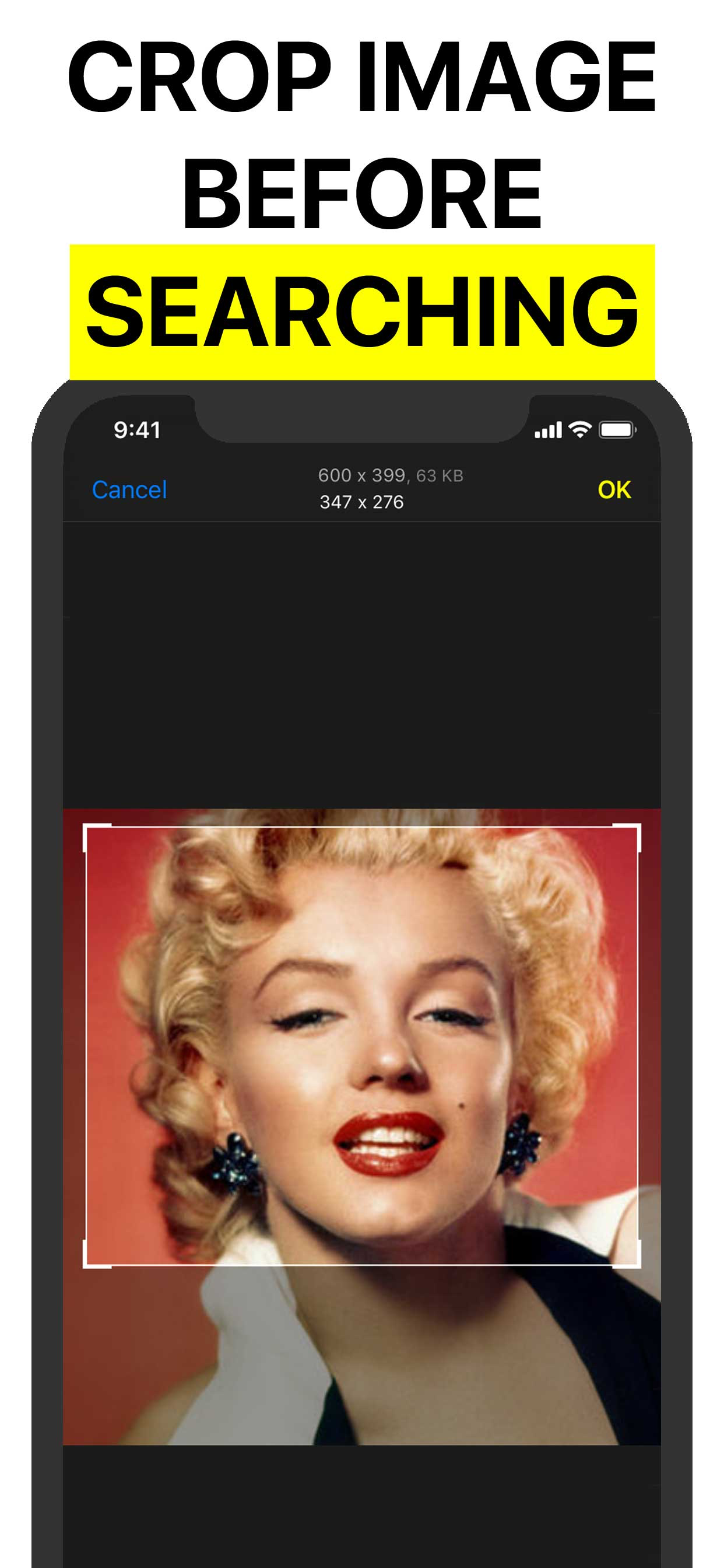 Reversee: Reverse Image Search