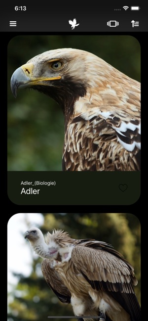 Greifvögel(圖1)-速報App