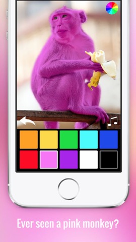 Color Zoo Liteのおすすめ画像4