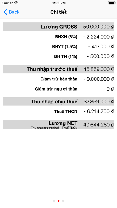 Gross to Net Vietnam screenshot 3