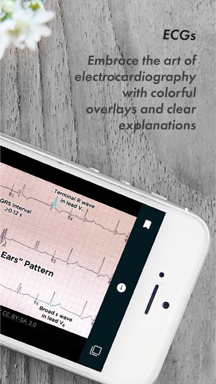 USMLE Clinic screenshot-5