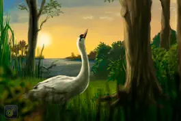 Game screenshot Where Do Swans Sleep? hack