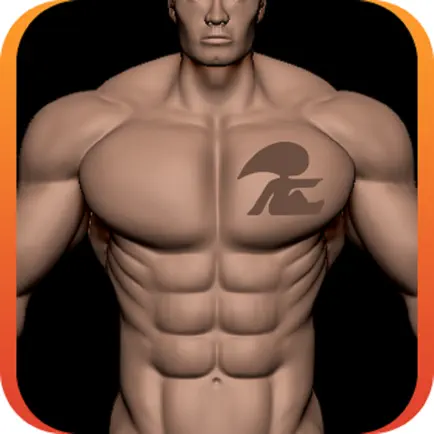 Aesthetic Body Читы