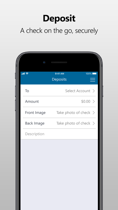 The Bank KS Screenshot