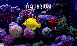 Deap Sea Aquarium 4K app icon