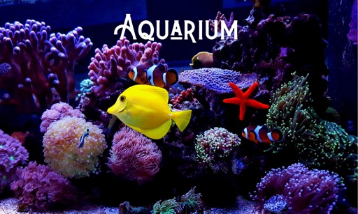 Deap Sea Aquarium 4K icon