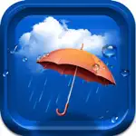 Amber Weather AQI Forecast App Support