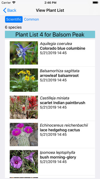 Colorado Wildflower Search Screenshot