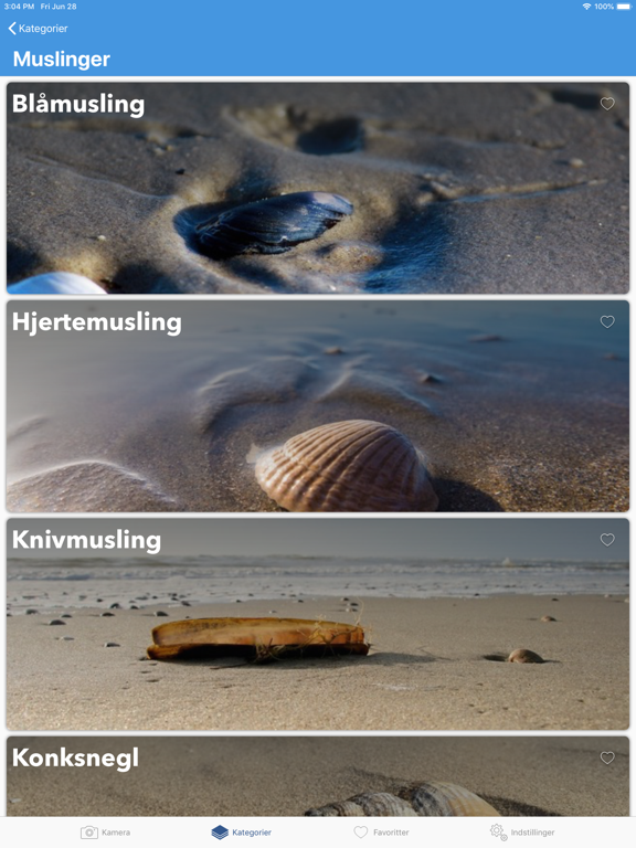 Screenshot #6 pour Strand Detektor - Din vejleder