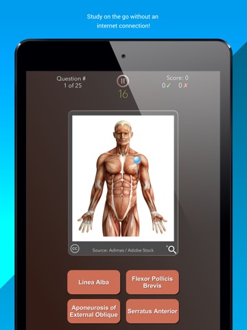 Anatomist – Anatomy Quiz Gameのおすすめ画像3