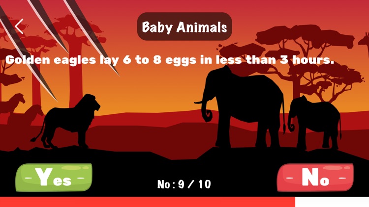 YouKnowAnimal screenshot-3