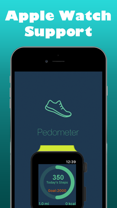 Pedometer ٞ Screenshot