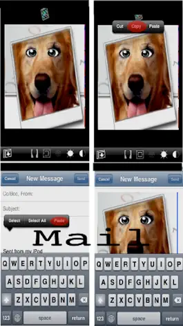 Game screenshot Tap Photo Mask hack